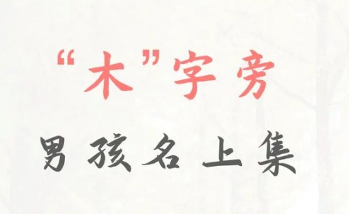 带木字旁的字男孩名字