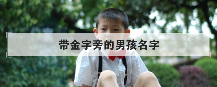 金字旁的男孩名字大全,男孩起名参考
