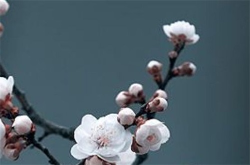 2023年农历十月十三是店铺开张黄道吉日吗 开业好不好