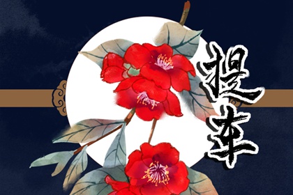 免费测提车吉日 2024年七月生肖羊接新车什么日子最好