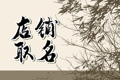 2024年优雅有情调的美容店铺名字