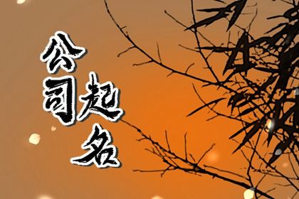 2024龙年高大上的企业名字大全