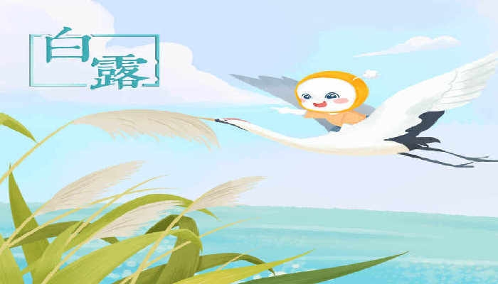 2024年9月7日是什么节气 2024年9月7日是白露节气