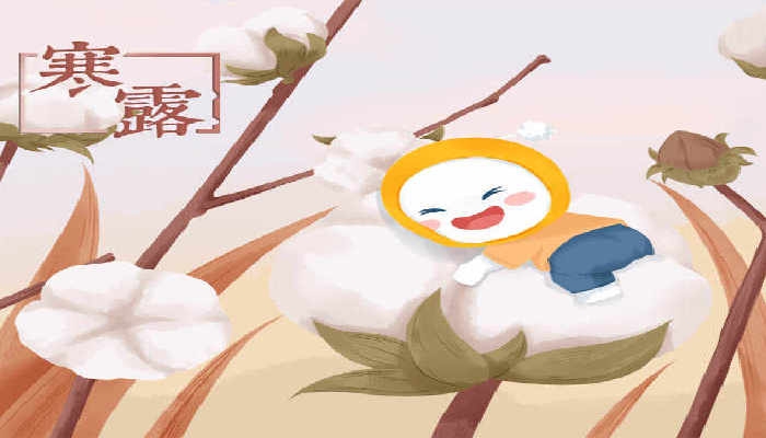 2024年10月8日是什么节气 2024年10月8日是寒露节气