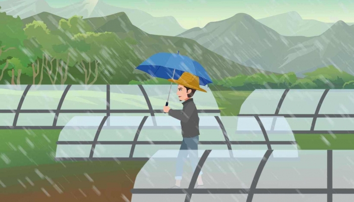 2024年雨水时间: 2024年雨水是哪一天