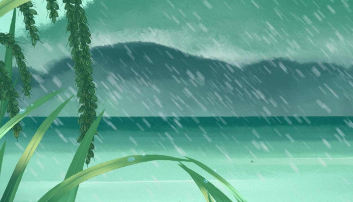 2024年雨水节气是几点 2024年雨水节气时间表