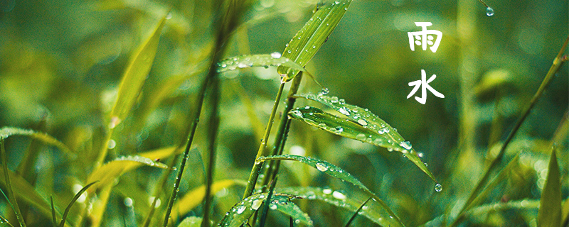 雨水节气的寓意和象征