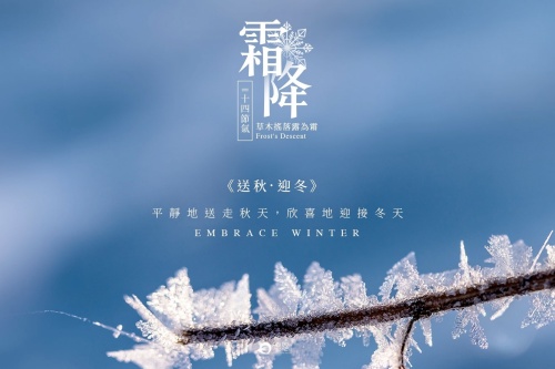霜降节气吃什么食物养生