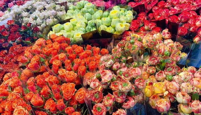 2024年5月14日是什么情人节 2024年5月14日是玫瑰情人节