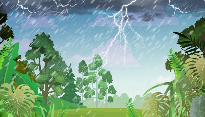2024年雨水时间: 2024年雨水是哪一天