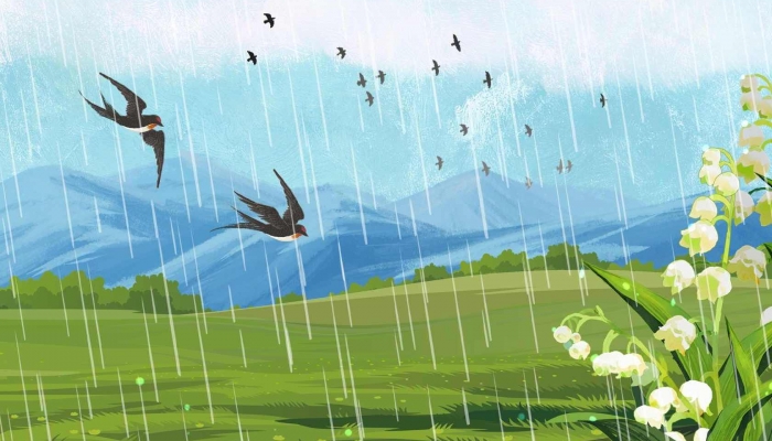 2024年雨水节气是几点 2024年雨水节气时间表