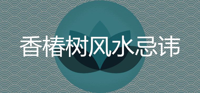 院子种香椿树风水忌讳有哪些