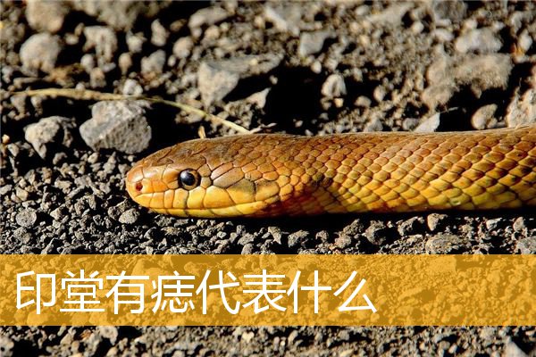 印堂有痣代表什么