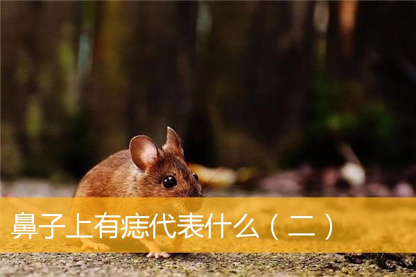 鼻子上有痣代表什么(二)