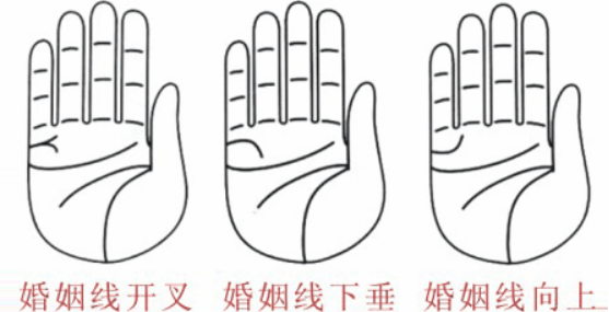 婚姻线分叉代表什么,婚姻线分叉是什么意思?
