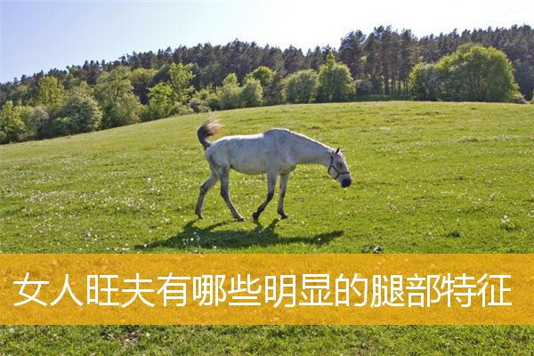 女人旺夫有哪些明显的腿部特征
