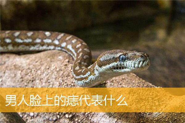 男人脸上的痣代表什么