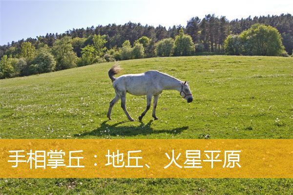 手相掌丘:地丘、火星平原