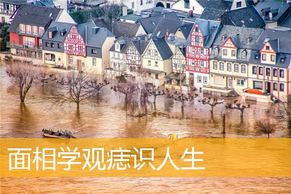 面相学观痣识人生