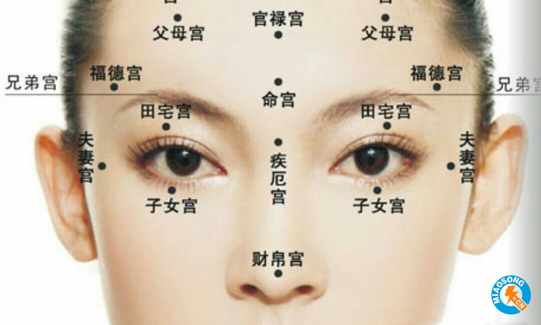 福相是什么样子,福相的有什么特征?