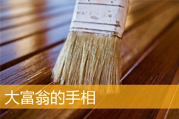 大富翁的手相