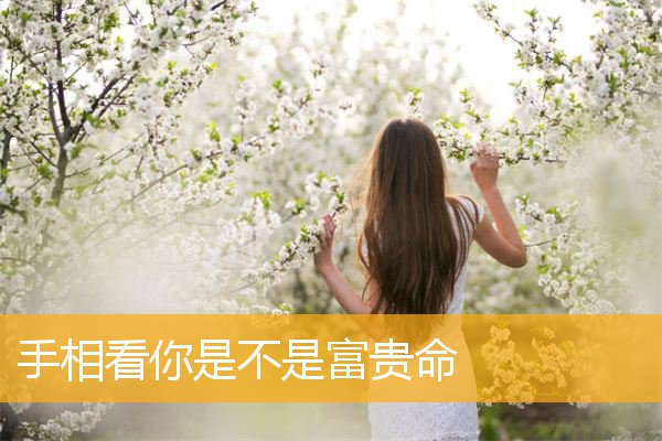 手相看你是不是富贵命