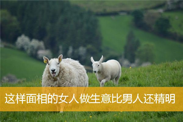 这样面相的女人做生意比男人还精明