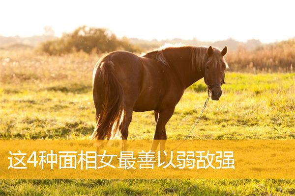 这4种面相女最善以弱敌强