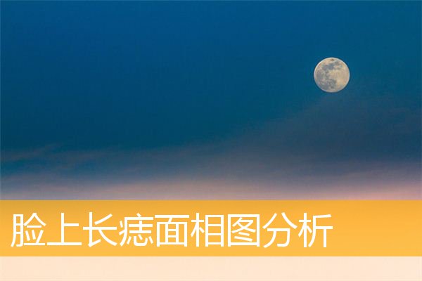 脸上长痣面相图分析