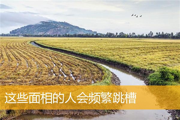 这些面相的人会频繁跳槽