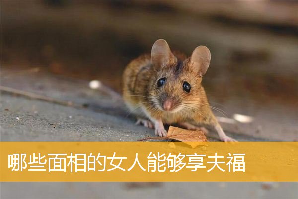 哪些面相的女人能够享夫福