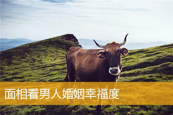 面相看男人婚姻幸福度