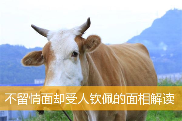 不留情面却受人钦佩的面相解读