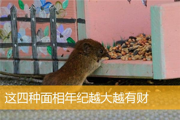 这四种面相年纪越大越有财