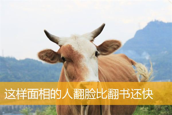 这样面相的人翻脸比翻书还快