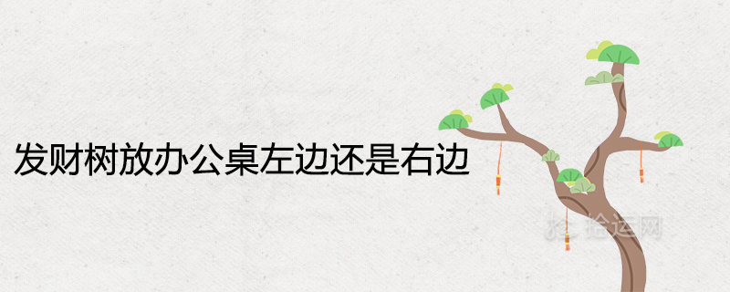 发财树放办公桌左边还是右边 最佳摆放位置