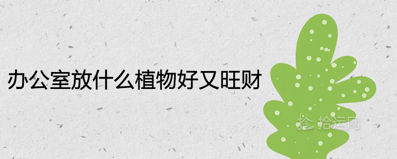 办公室放什么植物好又旺财 招财挡煞的绿植