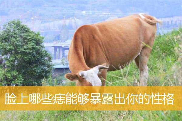 脸上哪些痣能够暴露出你的性格