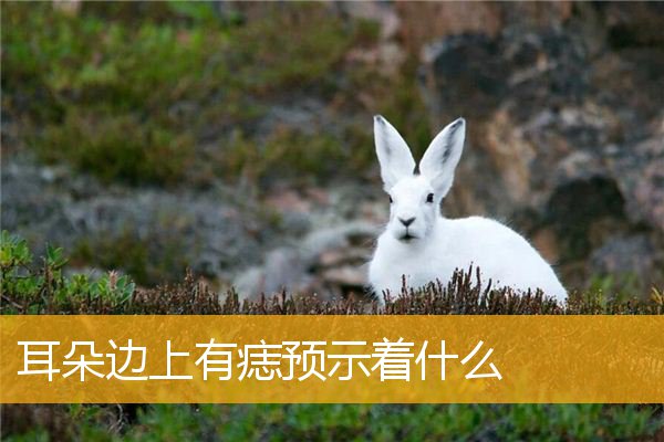 耳朵边上有痣预示着什么