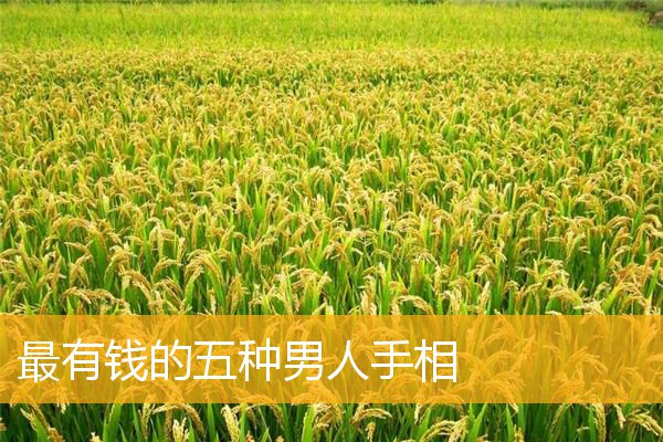 最有钱的五种男人手相