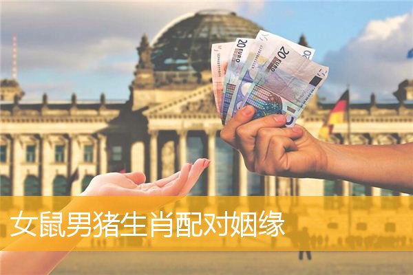 女属鼠男属猪婚姻合适吗?