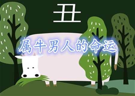 属牛的男人命好不好 属牛的男人命好不好