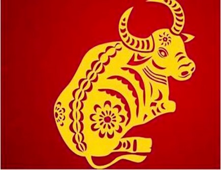 属牛男人婚姻与命运 属牛男人婚姻与命运