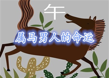 属马的男人命好不好 属马的男人命好不好