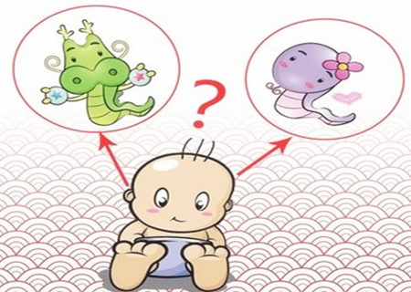 蛇和龙的属相合不合 蛇和龙的属相合不合
