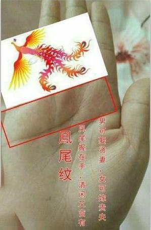 凤尾纹有何寓意?手有凤尾纹的人富贵多福!