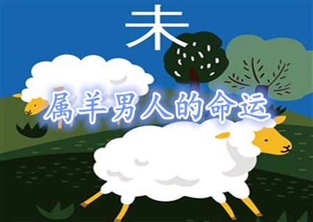 属羊的男人命好不好 属羊的男人命好不好