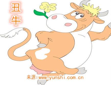 属牛纹身纹什么旺财 属牛纹身纹什么旺财