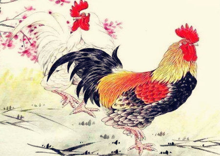 属鸡适合做什么生意 属鸡适合做什么生意