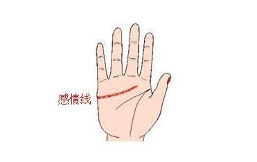 准的离谱,教你怎么从手相看一个人的感情